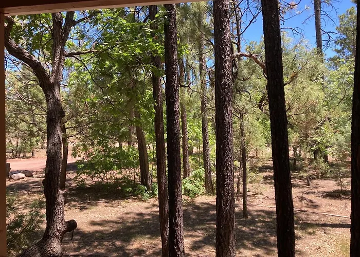 Tranquil Pines Retreat Holiday home *
